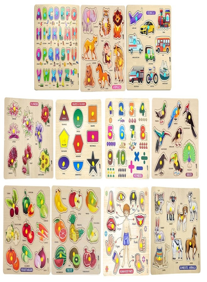 APPSTER Jumbo Wooden Puzzle Toy for Kids 11-in-1 Colorful Learning Set | Animals, Birds, Flowers, Pet, Fruits, Vegetables, ABCD, Numbers, Shapes, Body Parts & Vehicles | Educational Jigsaw Board Game - Image 1